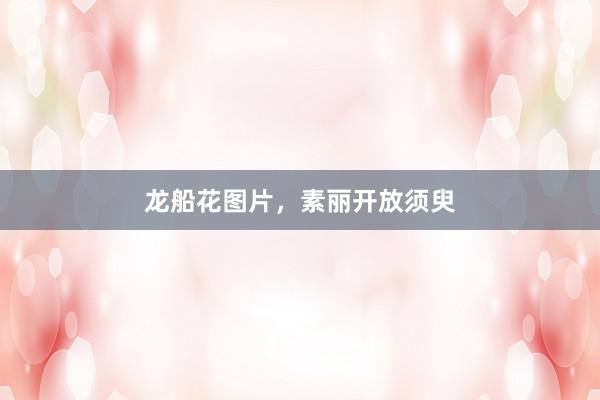 龙船花图片，素丽开放须臾